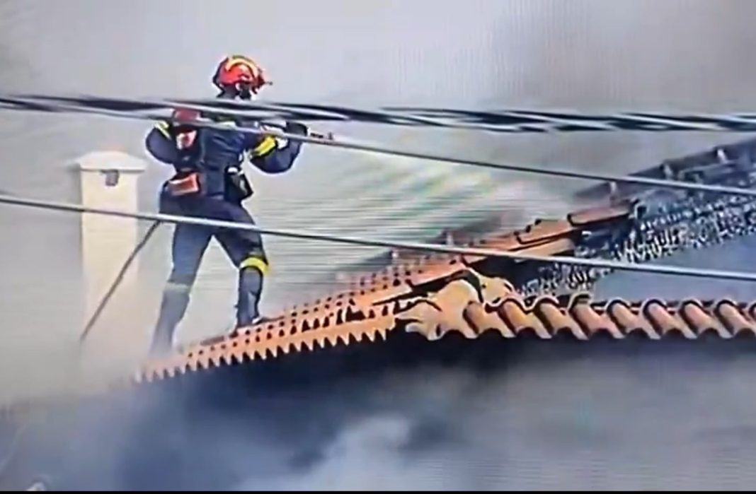 purosvestis-e1750970182585