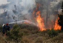 Φωτιά στη Μάνδρα Αττικής -Σηκώθηκε ένα ελικόπτερο
