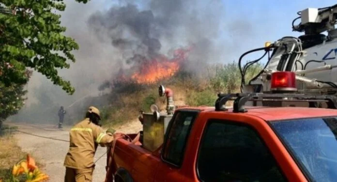 riganokampos_patra-696x377