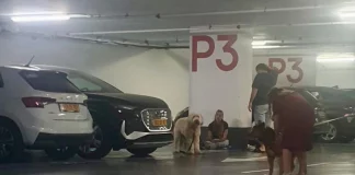 «Εμπιστευόμαστε την κυβέρνηση, ξέρουν τι κάνουν»: Εικόνες από καταφύγιο του Τελ Αβίβ την ώρα της ιρανικής επίθεσης