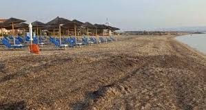 Γεμάτες φύκια οι ελεύθερες παραλίες στη Νέα Ποτίδαια ενώ οι χώροι μπροστά στα beach bar είναι καθαροί – Τι καταγγέλλουν οι κάτοικοι