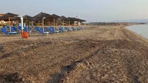 αρχείο λήψης (3)