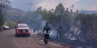 Φωτιά τώρα σε χαμηλή βλάστηση στην Παλαιοκερασιά Φθιώτιδας, σηκώθηκαν δύο αεροσκάφη και ένα ελικόπτερο