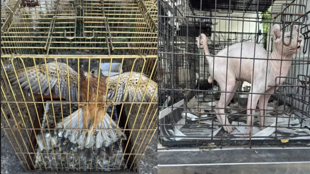 στιγμιοτυπο_οθονης_2025-06-19_175500