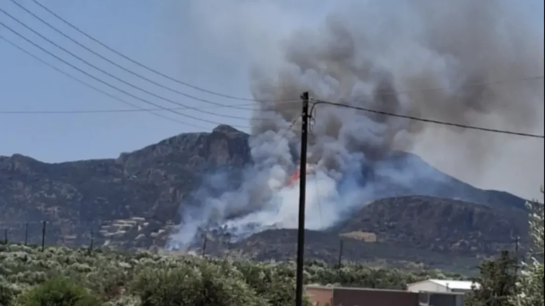 στιγμιοτυπο_οθονης_2025-06-23_144914