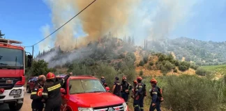 Καλύτερη η εικόνα της φωτιάς στις Νεραντζιές Αιγίου