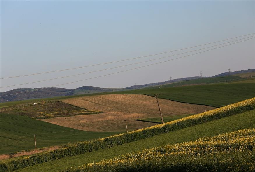 875_f8fbc3d1-4530-4f94-a7e8-99e91ee2cb1a