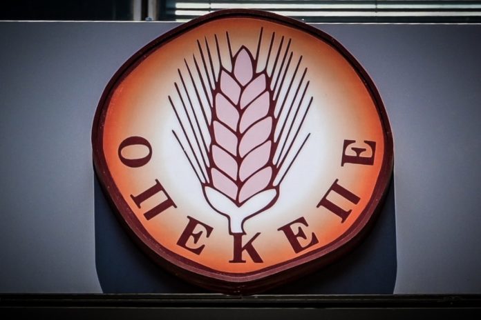 Αποκαλύψεων συνέχεια για τον ΟΠΕΚΕΠΕ: Νοίκιαζαν χωράφια από νεκρούς! – Τα «φουσκωμένα» δεδομένα μιας 69χρονης