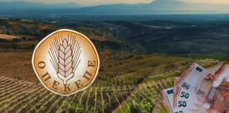 ΟΠΕΚΕΠΕ: Ανεστάλησαν από τη ΝΔ οι κομματικές ιδιότητες του «Φραπέ» και του «Χασάπη»