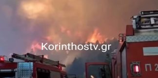 Φωτιά στον Φενεό: Δυο πυροσβέστες στο νοσοκομείο, ο ένας με εγκαύματα – Ενισχύθηκαν οι δυνάμεις