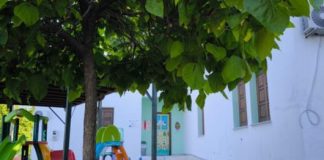 Αιγάλεω: Γαστρεντερίτιδα λόγω σαλμονέλας σε παιδικό σταθμό – Οι γονείς απαιτούν έλεγχο των προμηθευτών τροφίμων