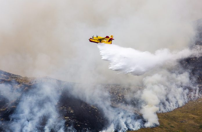 Φωτιά σε δάσος στις Φιλιάτες Θεσπρωτίας: Σηκώθηκαν τρία εναέρια μέσα