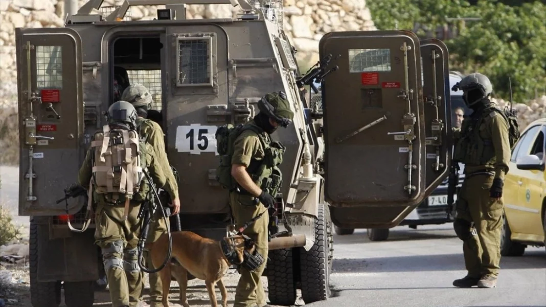 dutiki-oxthi-israilinoi-stratiotes