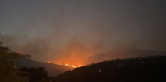 Σε ύφεση η φωτιά στον Φενεό Κορινθίας – Αλλεπάλληλα μηνύματα του 112 για εκκενώσεις χωριών