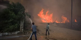 Βουλευτής Εύβοιας προς ΥΠΡΟΠΟ Κεφαλογιάννη για τη φωτιά: «Κινδυνεύουν ανθρώπινες ζωές»