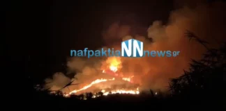 Φωτιά τώρα στην Μακύνεια Ναυπακτίας