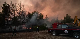 Συνεχίζεται η μάχη τις φλόγες στο Ασπροχώρι Ωρωπού – Βελτιωμένη η εικόνα, ξεκίνησαν τα εναέρια, αγωνία για τους ανέμους