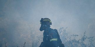 Φωτιά στην Χαλκιδική – Καίγεται αγροτοδασική έκταση