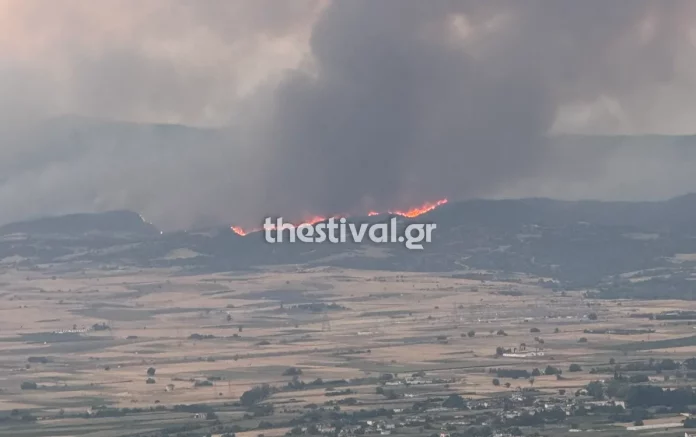 Θεσσαλονίκη: Η φωτιά στην Άσσηρο έφθασε στην παλιά εθνική οδό – Δείτε βίντεο