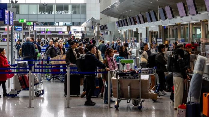 Ανακάλυψη σοκ σε αεροδρόμιο της Γερμανίας: Κατασχέθηκαν 1.500 ταραντούλες κρυμμένες σε κουτιά τούρτας