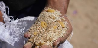 Γάζα: Τουλάχιστον 30 Παλαιστίνιοι σκοτώθηκαν ενώ περίμεναν σε ουρά για λίγα τρόφιμα