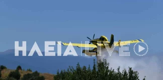 Φωτιά στην Κάμενα Αρχαίας Ολυμπίας – Μάχη με τις φλόγες σε τρία μέτωπα