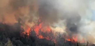 Σε πλήρη εξέλιξη η δασική πυρκαγιά στον Πύργο Ηλείας – Ενισχύθηκαν οι πυροσβεστικές δυνάμεις