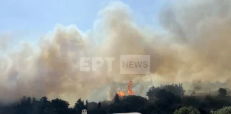 Πυρκαγιά σε αγροτοδασική έκταση στα Κύθηρα – Μήνυμα 112 για εκκένωση της περιοχής Πιτσινάδες