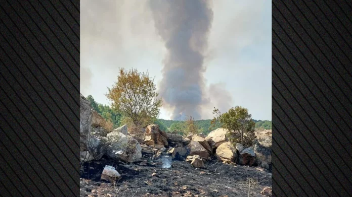 Η φωτιά στα Λιβερά Κοζάνης αναζωπυρώθηκε λόγω ανέμων