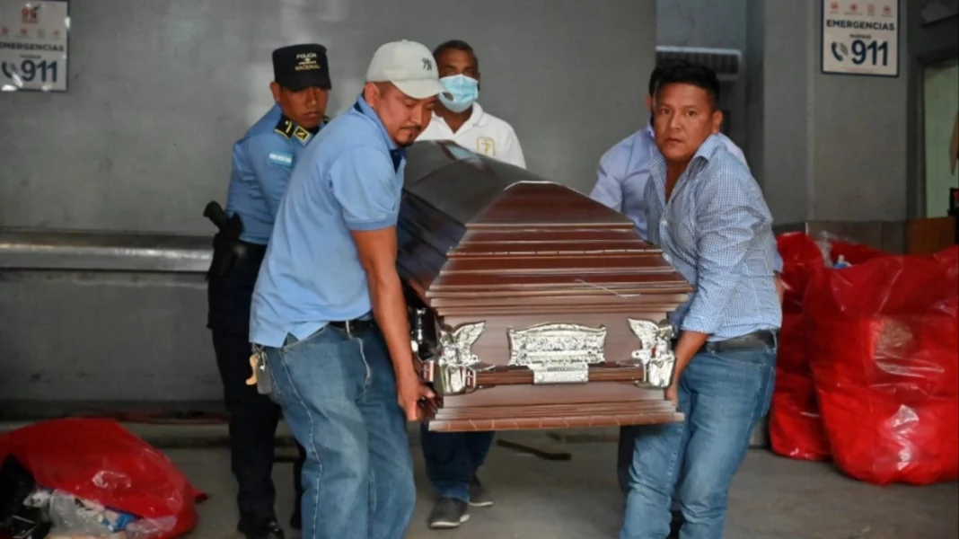 mixcollage-11-jul-2025-02-19-am-7253