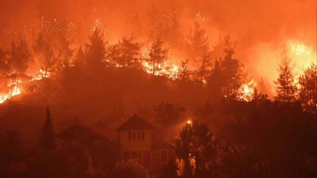 mixcollage-28-jul-2025-04-43-am-4564