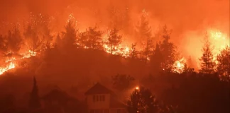 Μαίνονται οι πυρκαγιές στην Τουρκία – Πάνω από 3.500 κάτοικοι απομακρύνθηκαν στην Προύσα