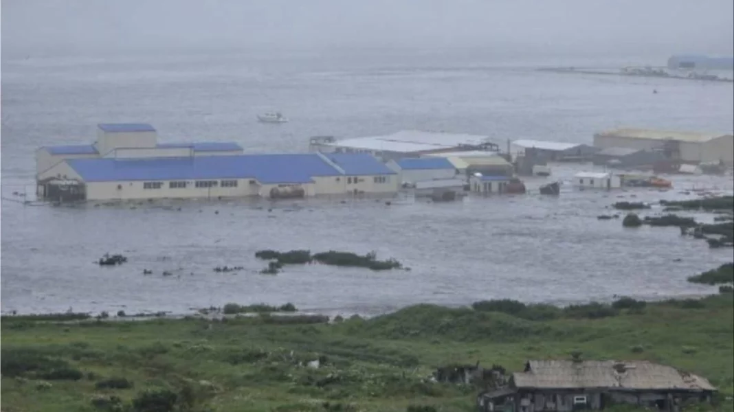 mixcollage-30-jul-2025-04-24-am-513