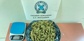 Επιχειρήσεις κατά των ναρκωτικών στη Βόρεια Ελλάδα – Σύλληψη 30χρονου για κατοχή και διακίνηση στη Θεσσαλονίκη