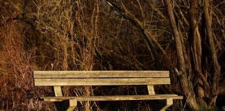 Πάτρα: «Εξαφανίστηκαν» τα παγκάκια της πλαζ – Τα «σήκωσαν» νύχτα με φορτηγάκι!