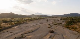 Ο χρόνος τελειώνει – Απόγνωση αγροτών και SOS για το νερό: Ποτάμια στέρεψαν, χιλιάδες στρέμματα μένουν απότιστα