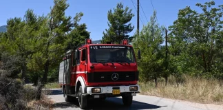 Φωτιά στον Φενεό Κορινθίας – Καίγεται δάσος