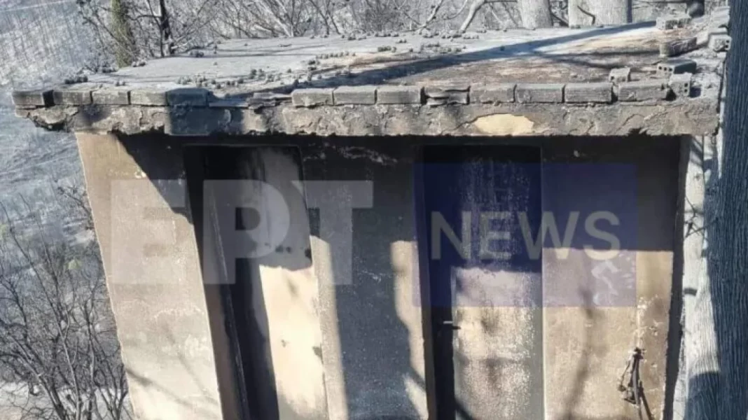 pyrkagia-kastania-768x644