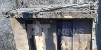 Η επόμενη μέρα στον Φενεό: Στάχτη 12.000 στρέμματα δάσους, ζημιές σε σπίτια και καλλιέργειες – Δείτε φωτογραφίες