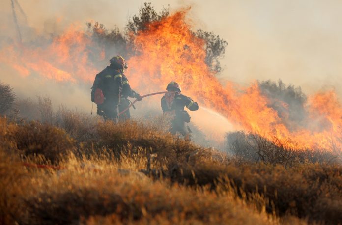 Φωτιά στο Δοτσικό Γρεβενών