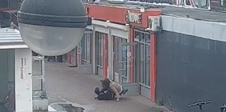 Βίντεο: Η στιγμή που Ρωσίδα εξουδετερώνει επί τόπου αλλοπαδό που επιχείρησε να την κλέψει