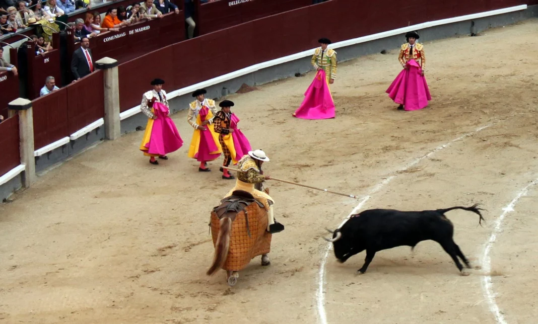spain-bullfighting-season