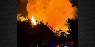 Μαίνεται η φωτιά σε δασική έκταση στη Θάσο – Κάηκε beach bar, εκκενώθηκε ξενοδοχείο