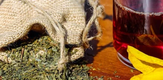 Αλλοδαποί πήραν τα βουνά και… ρήμαξαν τα αρωματικά βότανα σε Θεσπρωτία και Iωάννινα