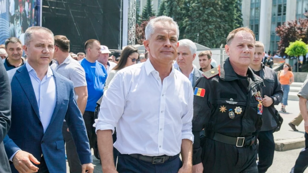 vladimir-plahotniuc-bravoi-art