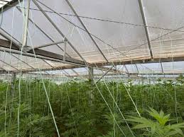 αρχείο λήψης (1)