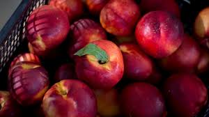 αρχείο λήψης (10)