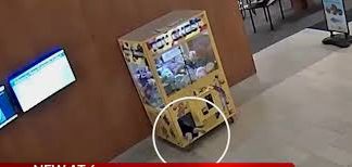 ΗΠΑ: Περιπέτεια για αγοράκι που εγκλωβίστηκε σε παιχνίδι-δαγκάνα για να πάρει ένα κουκλάκι – Το έβγαλαν πυροσβέστες