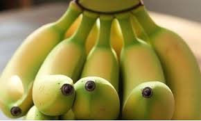 αρχείο λήψης (5)