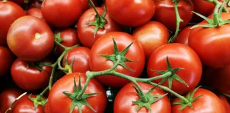 Το κόλπο με την οδοντογλυφίδα για να ωριμάζουν αμέσως οι ντομάτες